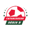 Catarinense 2