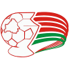 Belarusian Cup